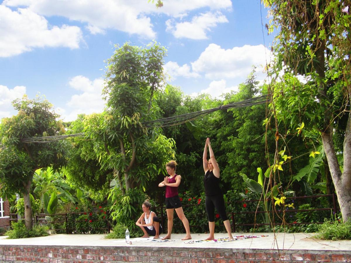 Ninh Binh Mountain Side Homestay & Cafe Zewnętrze zdjęcie