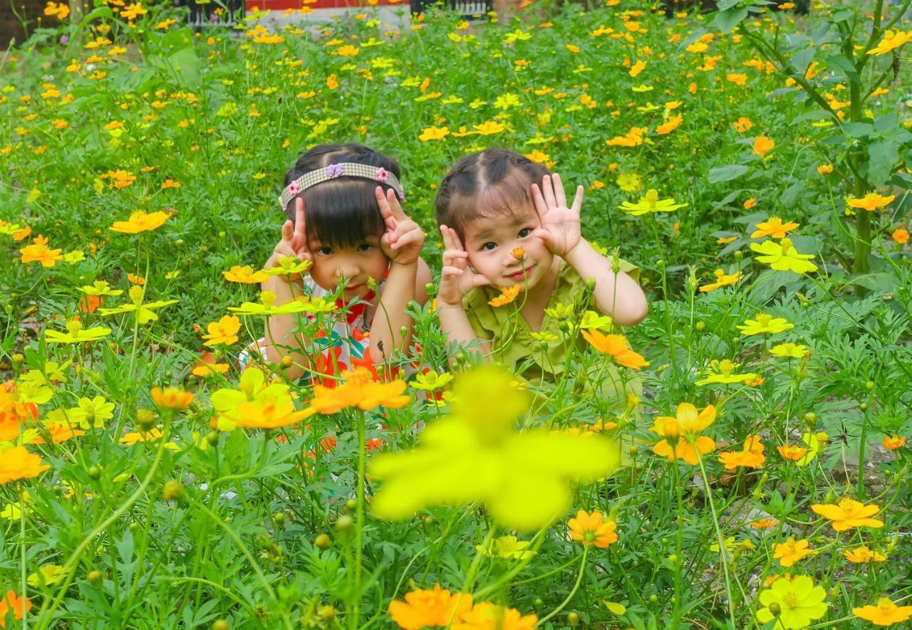 Ninh Binh Mountain Side Homestay & Cafe Zewnętrze zdjęcie