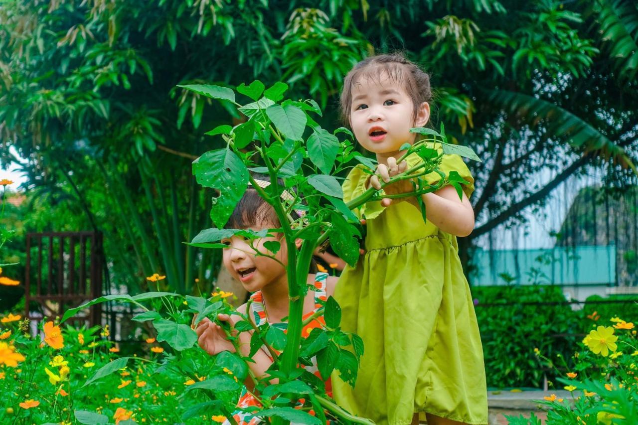 Ninh Binh Mountain Side Homestay & Cafe Zewnętrze zdjęcie