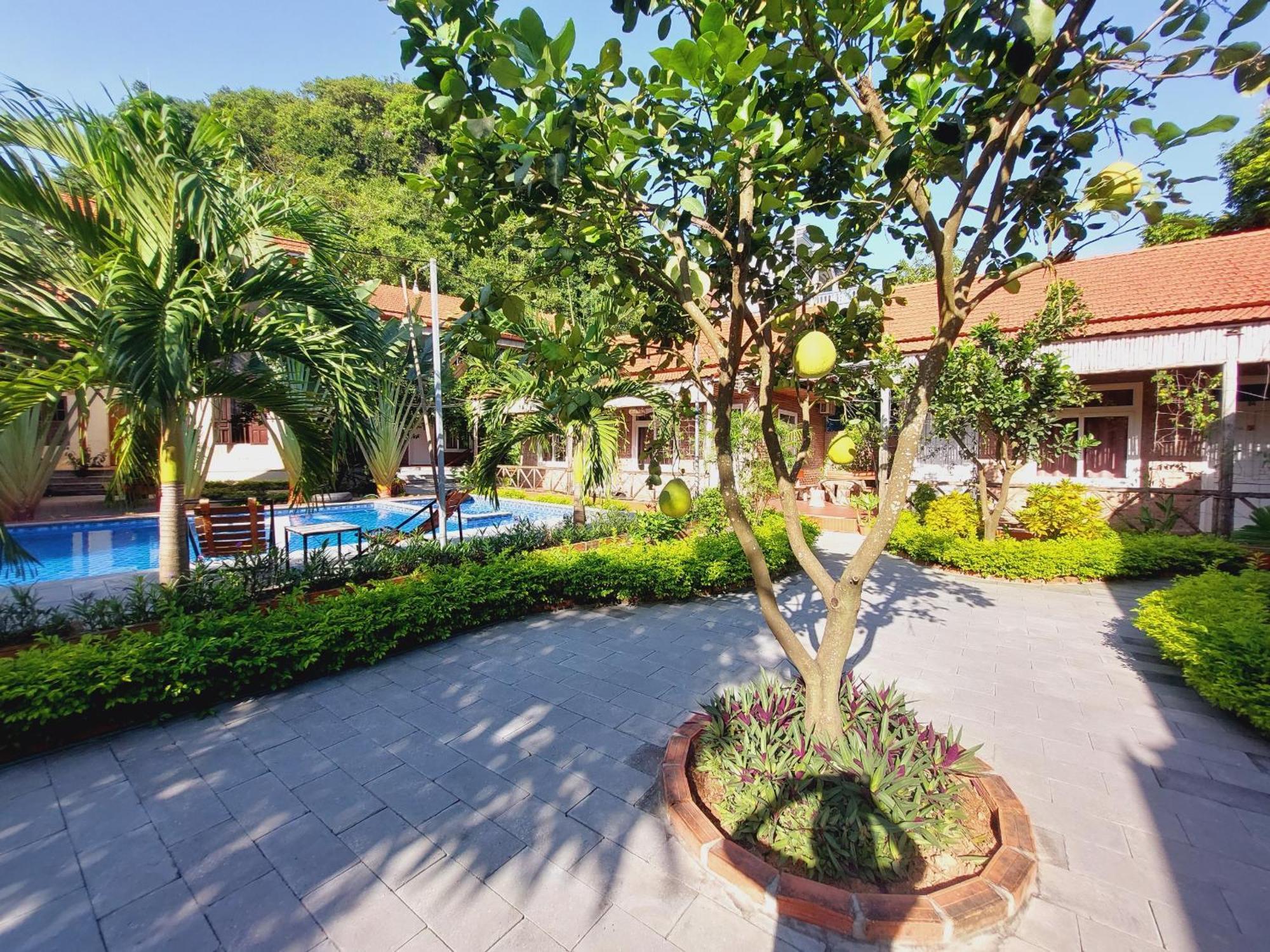 Ninh Binh Mountain Side Homestay & Cafe Zewnętrze zdjęcie