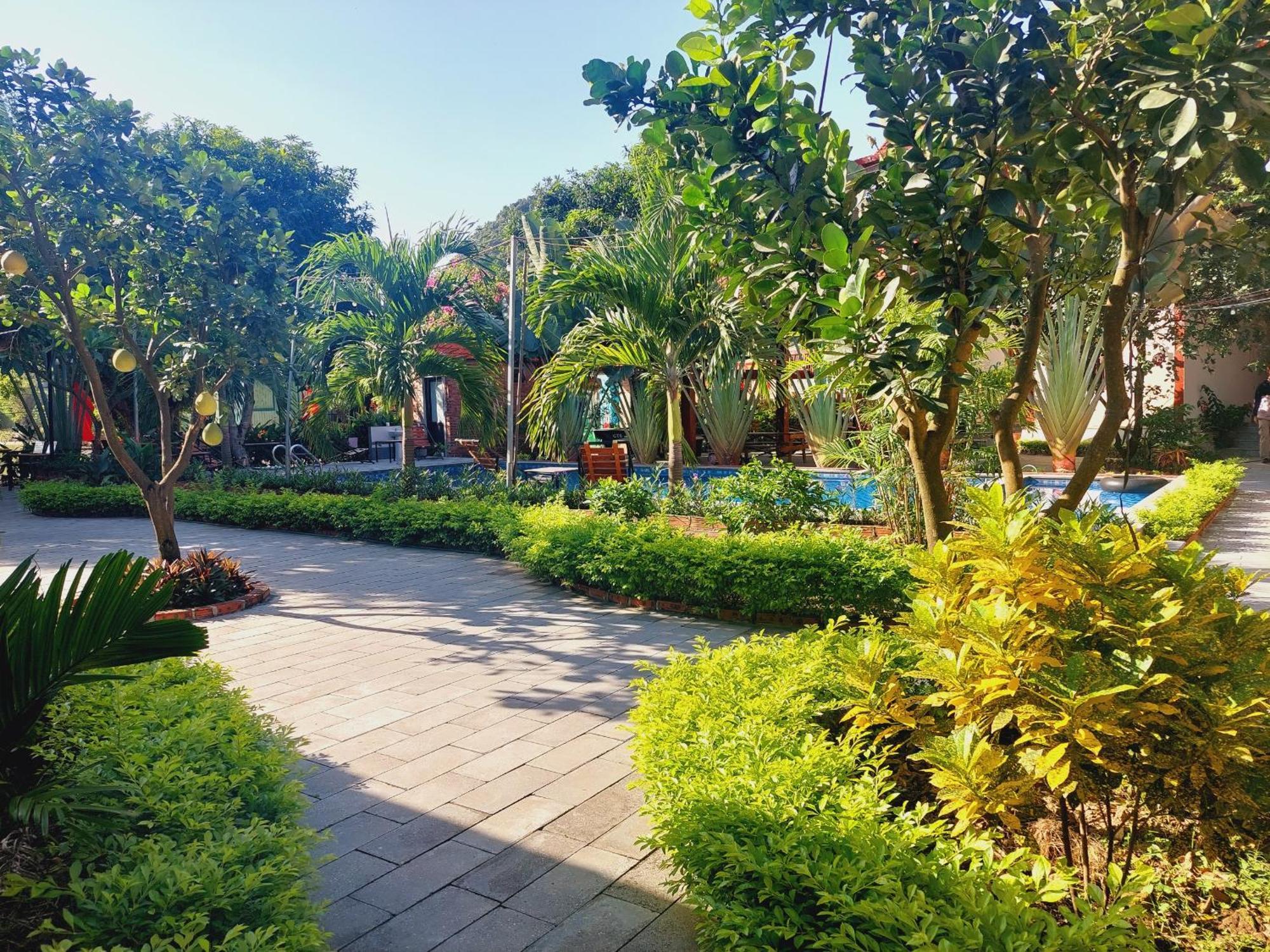Ninh Binh Mountain Side Homestay & Cafe Zewnętrze zdjęcie