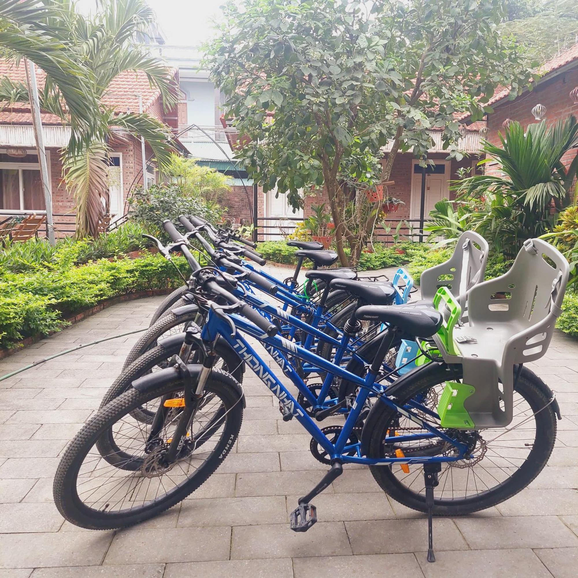 Ninh Binh Mountain Side Homestay & Cafe Zewnętrze zdjęcie